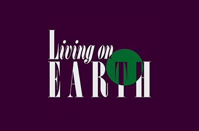 Professor Freeman joins Living on Earth® host Bobby Bascomb for an in-depth examination of the EPA’s new methane rule